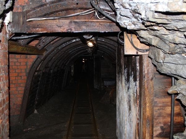 Le charbon, la mine d’or du territoire ligérien