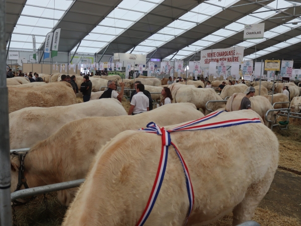 La Loire sur les podiums du Sommet de l'élevage