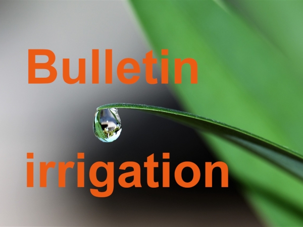 Bulletin technique d’irrigation du 6 mai