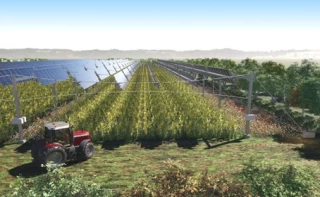 Agrivoltaïsme : les propositions du Caf