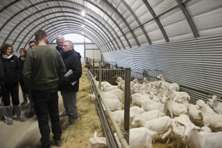 Une filière caprine porteuse d'avenir en Auvergne-Rhône-Alpes