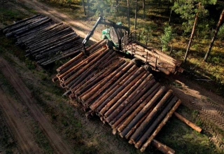 Bois : une récolte 2020 en baisse de 4 % 