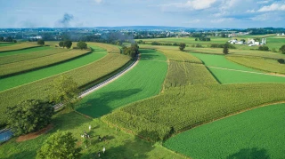 Bonne dynamique pour le marché des terres agricoles 