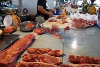 La production porcine montre des signes de stabilisation