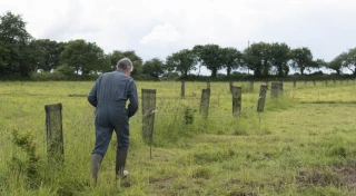 Appel à projets pour la gestion durable et la plantation de haies et d’arbres 