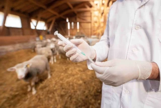 « Nous sommes l’oreille attentive des réseaux »