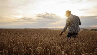 Le moral des agriculteurs n'est pas au beau fixe