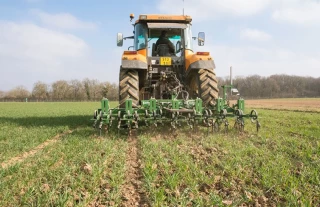 Comment les bio gèrent leurs mauvaises herbes ?
