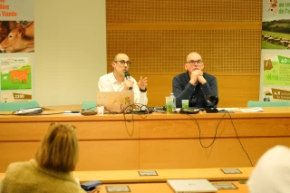 Cap sur la recapitalisation du cheptel bovin