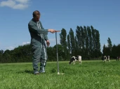 Un printemps favorable booste la production de fourrage 
