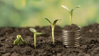 Le revenu agricole baisse à nouveau en 2024