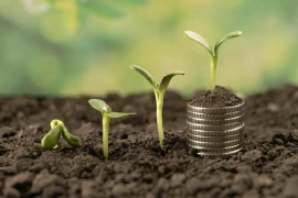 Le revenu agricole baisse à nouveau en 2024