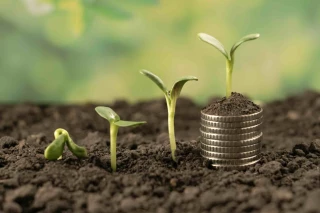 Le revenu agricole baisse à nouveau en 2024