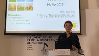 À qui ont profité les marges ?