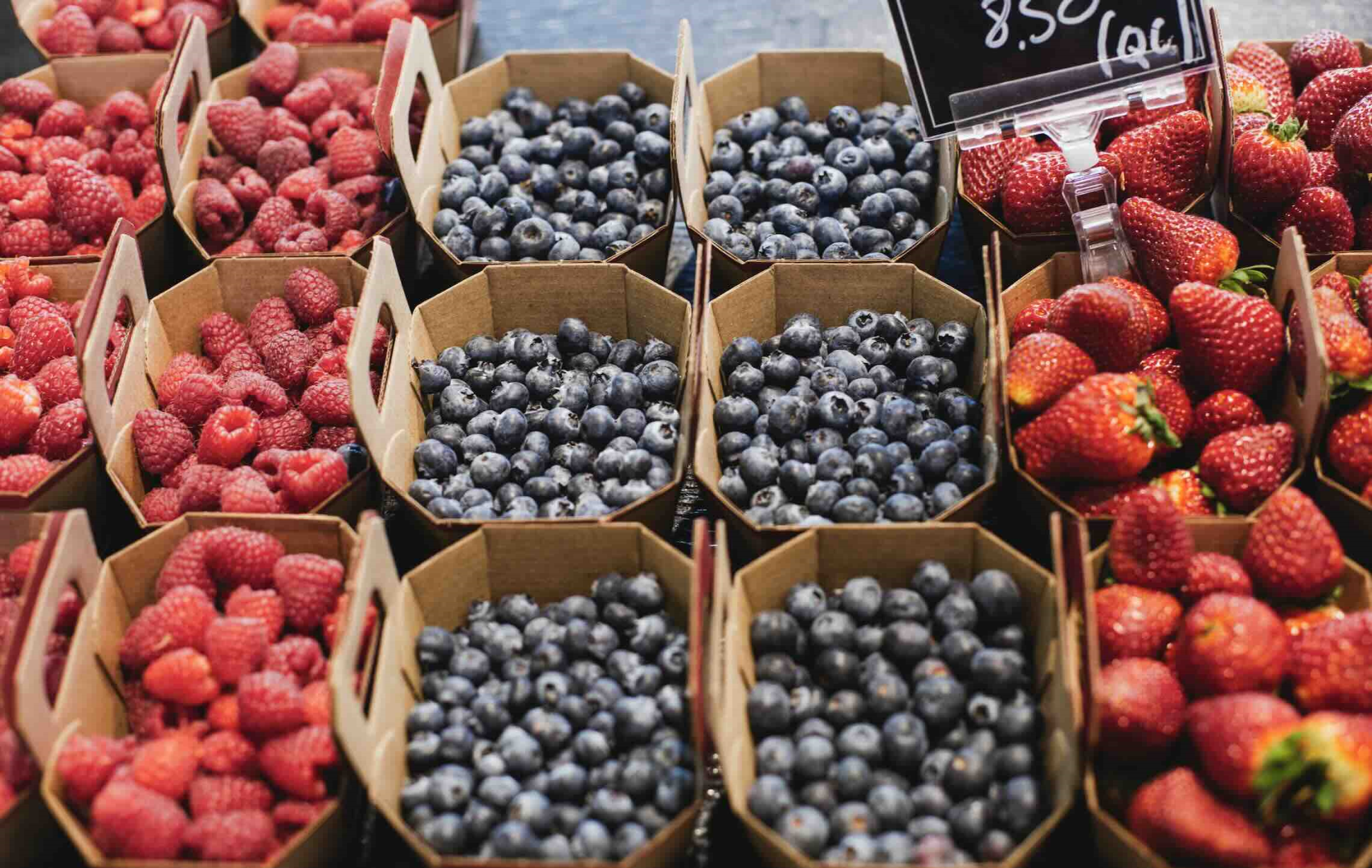 Fruits rouges : la France en queue de peloton européen Articles ...
