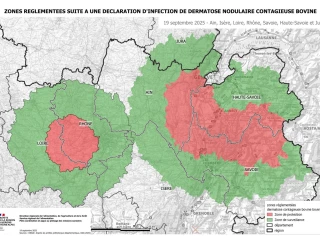 Deux périmètres sur le territoire français
