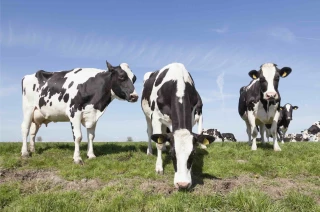 La sécheresse a battu des records en Europe au mois d'août