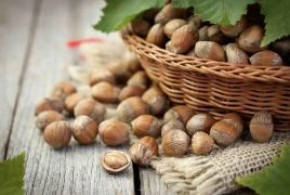 Néonicotinoïdes : des filières agricoles dans l’impasse face aux interdictions