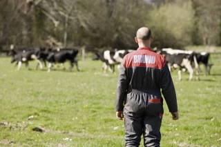 Lait : la collecte française ralentit à contretemps du reste du monde