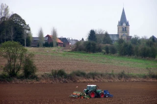 Comment bien gérer le semis et la gestion des mauvaises herbes ?