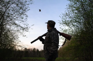 Chasse : la gestion des effectifs de gibier essentielle 