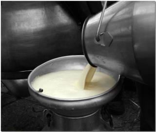 Les coopératives anticipent une hausse du prix du lait