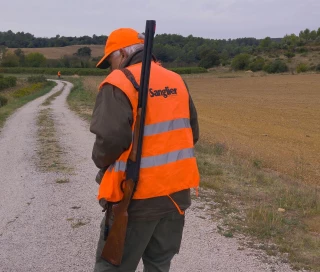 La chasse autorisée pendant le confinement, sous conditions