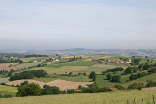 Arrêté préfectoral : calcul des loyers agricoles