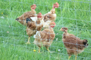 Les mesures s’appliquent également aux particuliers