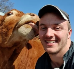 Multiples projets de communication positive