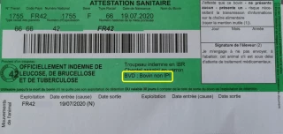 BVD : le statut « non IPI » sur les cartes vertes