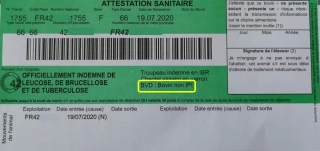 BVD : le statut « non IPI » sur les cartes vertes