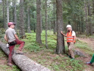 Une nouvelle charte pour la forêt du Pilat