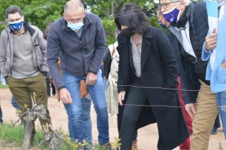 Les vignerons auront accès au fonds de calamités