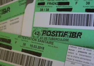 IBR : pas de relâchement !