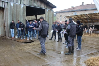Les éleveurs Holstein veulent sortir !