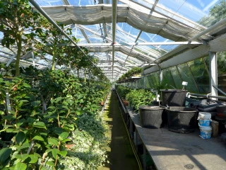 Covid-19 : indemnisation exceptionnelle de la filière horticole