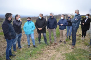 « Si on ne fait rien, notre patrimoine viticole peut disparaître »