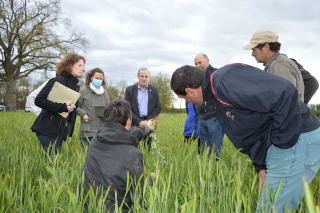 Badoit  : une source d’évolution des pratiques agricoles 