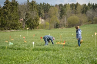 « Herbe richesse du Forez » : résultats des essais le 3 juin