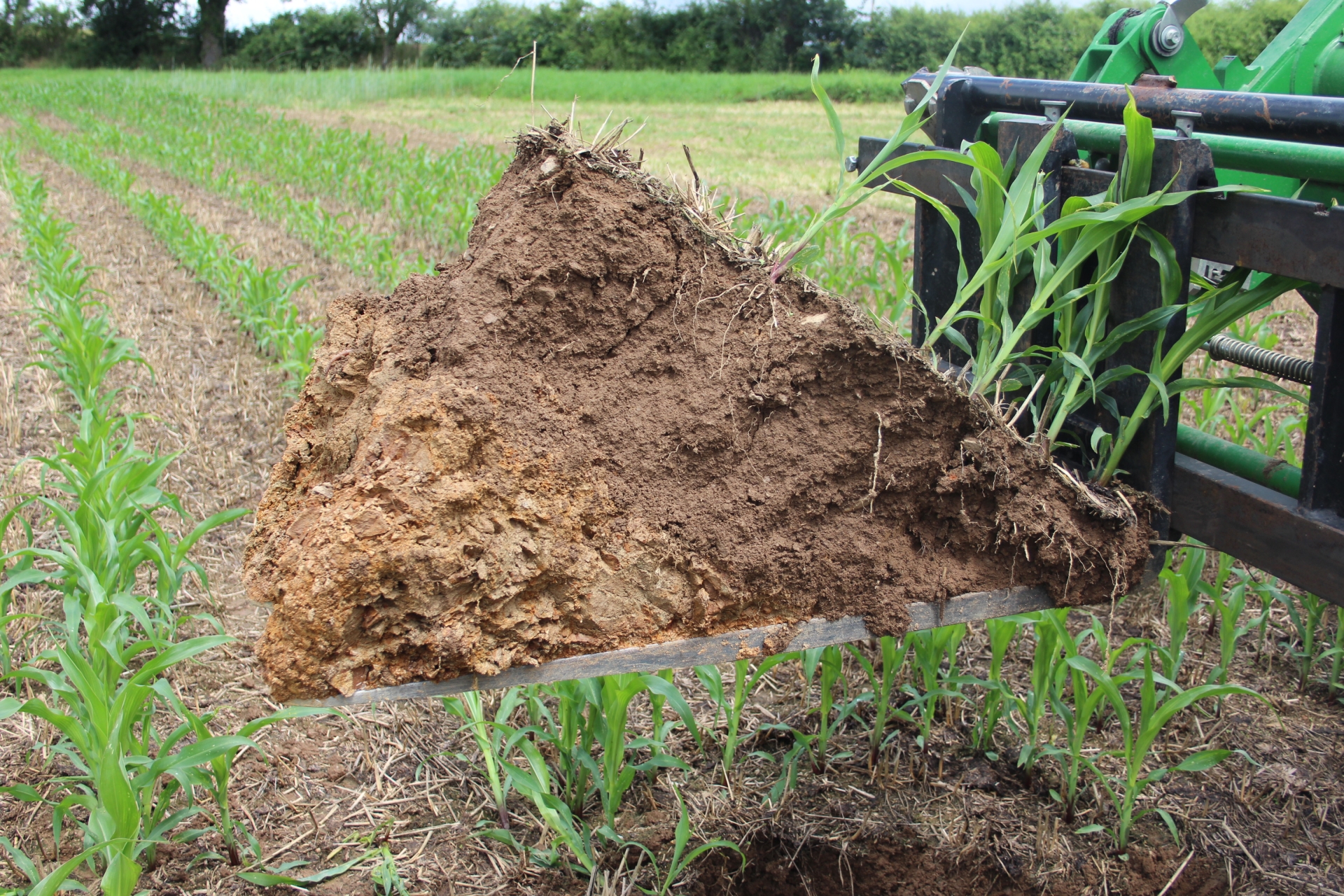 Limiter le travail du sol tout en favorisant l’autonomie fourragère