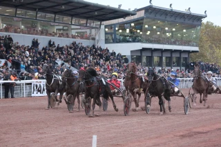 Le 23 juin, le public a de nouveau rendez-vous à l’hippodrome de Feurs !