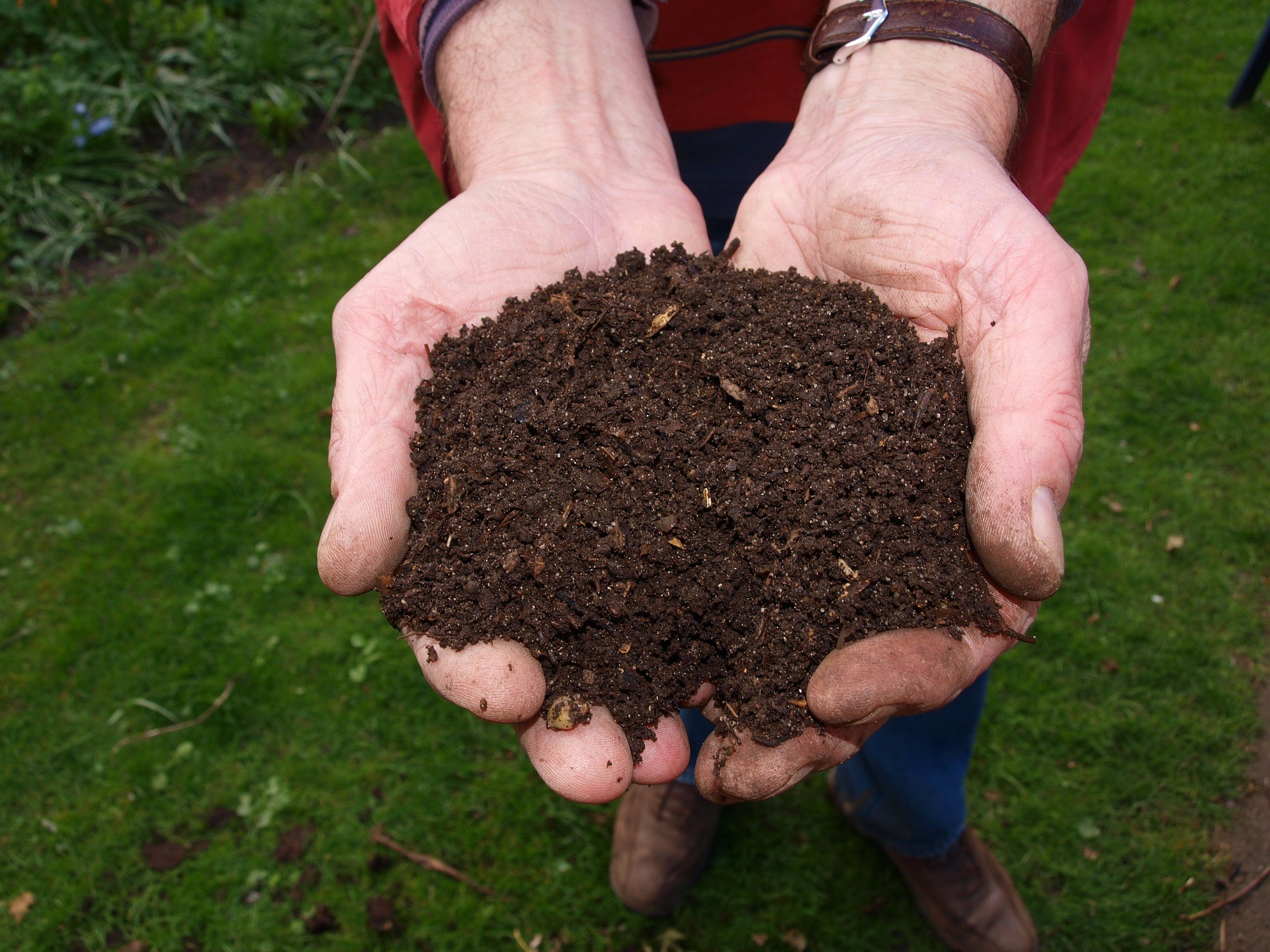 Et si vous passiez au compost ?