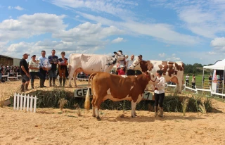 Tous les palmarès du concours de races laitières 2021