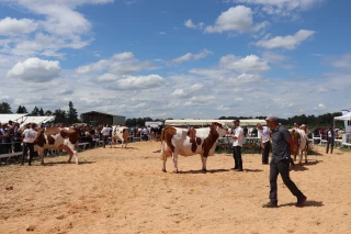 Championnes en tenue de gala, visiteurs en bottes