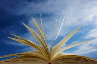 Le coin des lecteurs