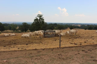 Demande d’indemnisation pour perte de fonds sur prairies