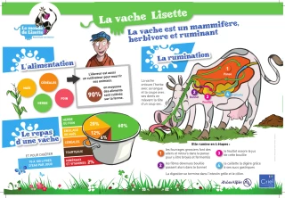 Filière lait : plus de visibilité pour les initiatives locales