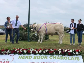 Le Charolais de la Loire sur le podium