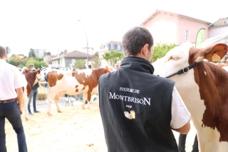  Fourme et côtes-du-forez : un événement célébrant le terroir